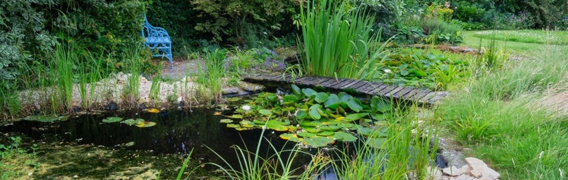 Gardening and Wildlife - a Harlow Carr Perspective