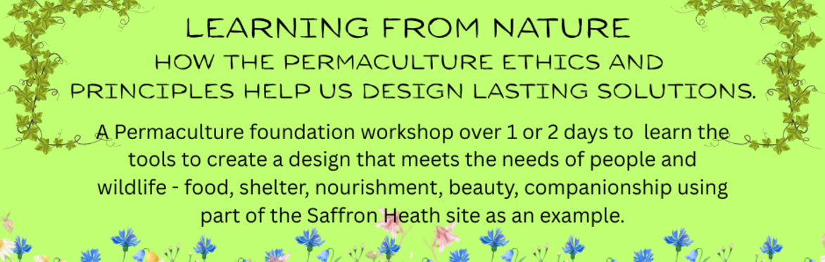 Learning from Nature - how the permaculture ethics and principles help us design lasting solutions.