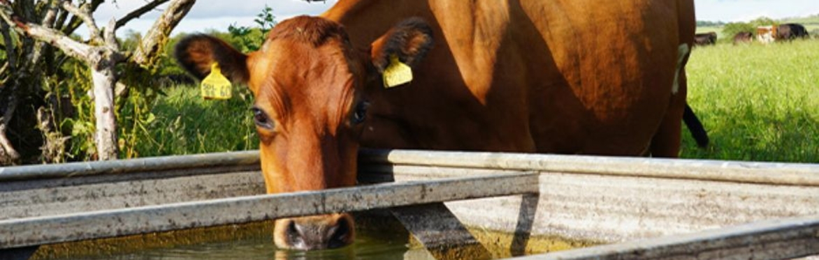 Reserve your spot – Co-Design Day: Resilient on-farm training centres ...