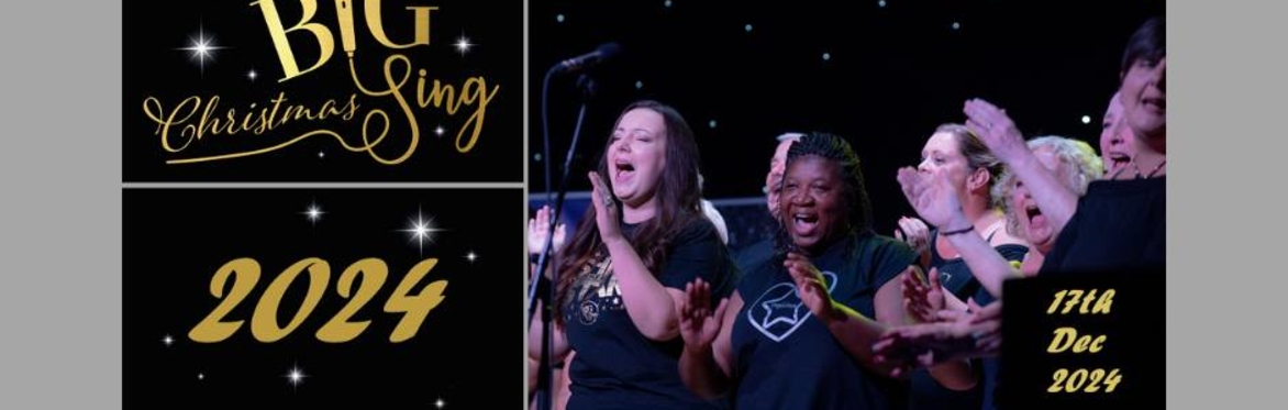 Book your performance space here – The BIG Christmas Sing Benn Hall ...