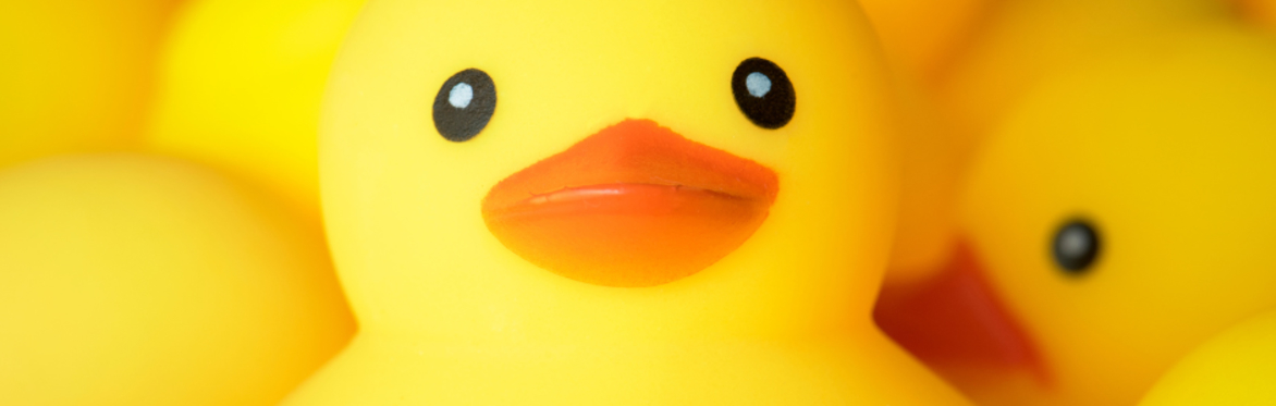 Duck Race and Family Fun Event- Sunday 14th July