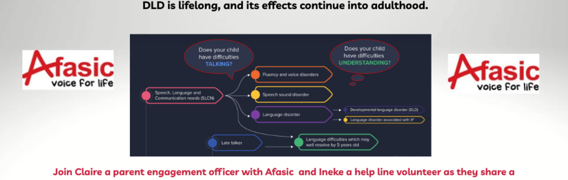 Understanding Developmental Language Disorder (DLD) in the 14–25 Transition Years