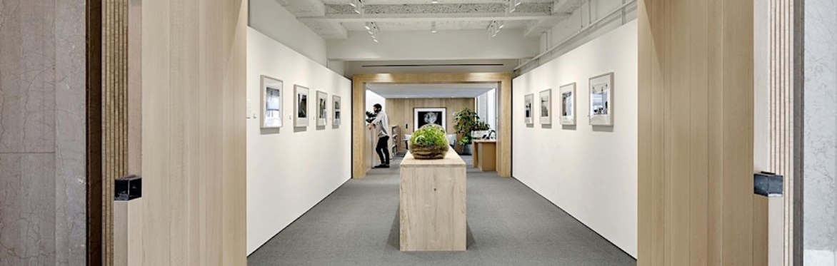 Virtual COOKFOX Studio Tour