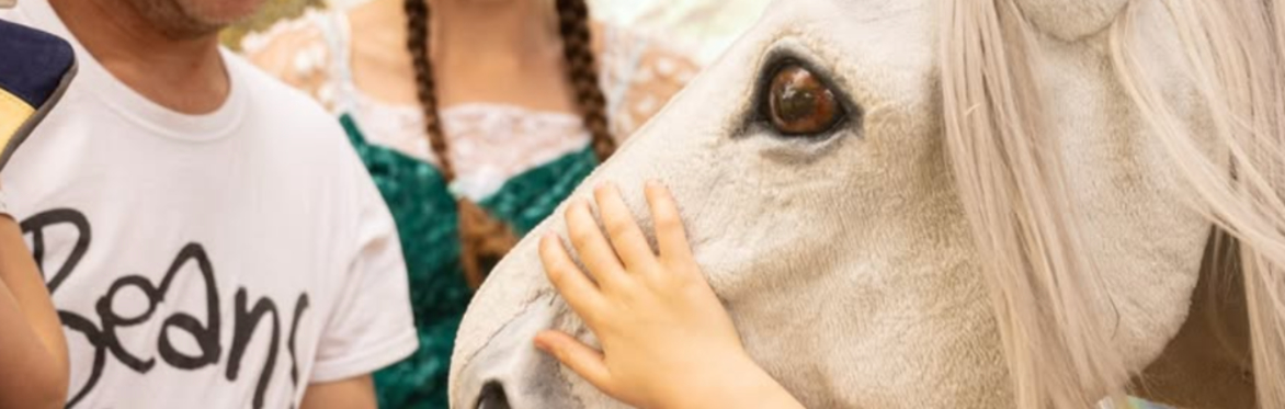 Unicorn Holiday School: 🦄🐴🌸Moonbeam's Visit & My Little Pony!