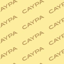 CAYPA & Pilates im Park
