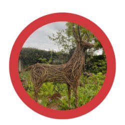 Willow Stag Workshop