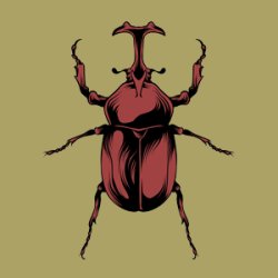 Central Invertebrate Show 2026