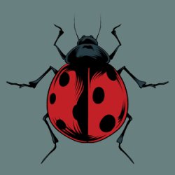 North Western Invertebrate Show 2026