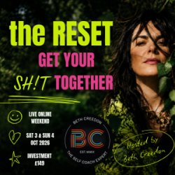the RESET - Get your sh!t together