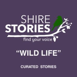 Shire Stories presents "Wild Life"