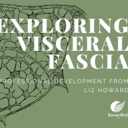 Exploring Visceral Fascia - Melbourne