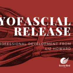 Myofascial Release - Melbourne