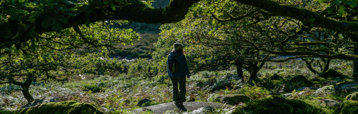 Online Ecofluency 4-week course: Create a strong, safe and meaningful Nature communication practice