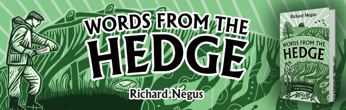 Author Dinner: Patrick Galbraith & Richard Negus