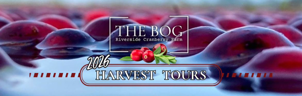 Come see the local BC Cranberry Harvest!