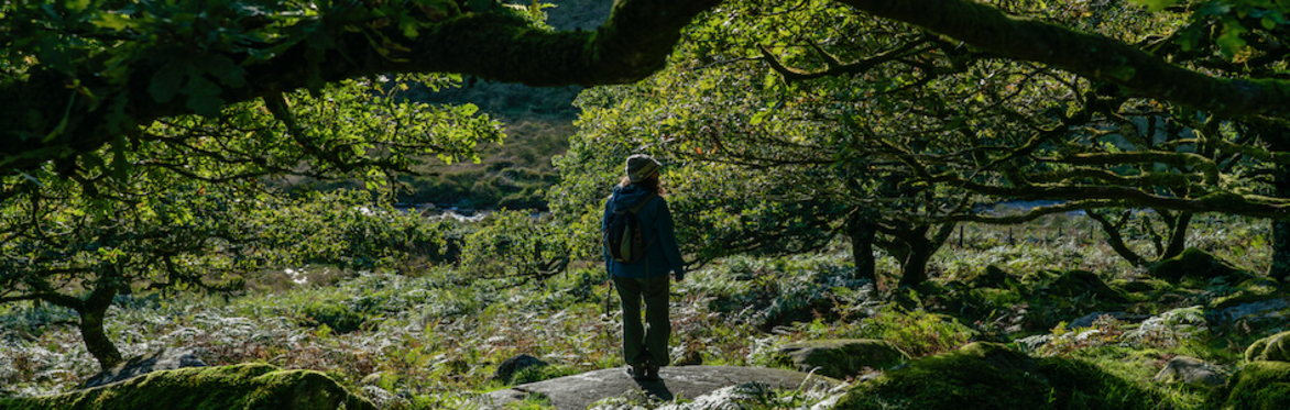 Online course Wed group: Growing a strong, safe and meaningful Nature communication practice