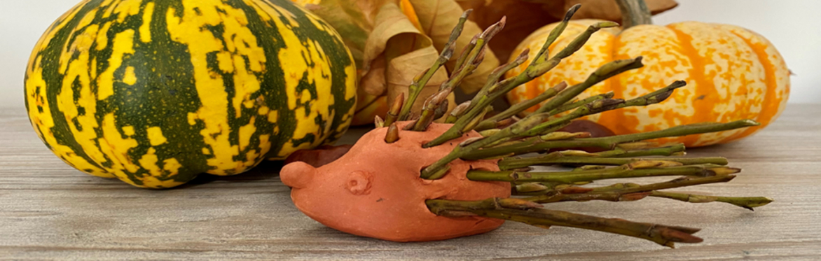 Clay Animals Craft Session