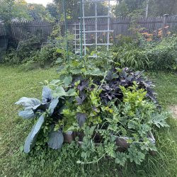 One of the kids' garden beds is featured, with a variety of annual vegetables and fruits growing in it. Photo courtesy of David Patrick.