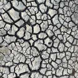 2 day Wild clay collecting processing and building with Adele Williams