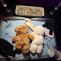 Sip & Create (21 & up) Pierced Stuffed Animal