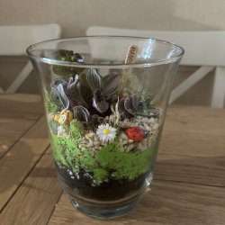 Terrarium Making