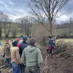 Hedge Laying 26th - 27th October 2026