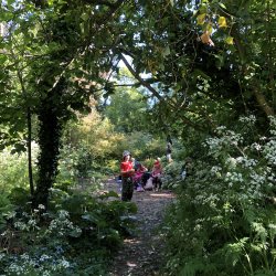 Wilderness Summer Camps 2026 at  Burtown House, Athy – Adventure, Nature & Fun Awaits! C-WC-SU-BH-2601
