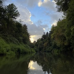 Birding on the River with USFWS, AWL, & OSCI!