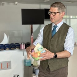 Brain Based Chiropractic: Mastery- Gloucestershire