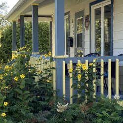 Coming Home: Psoma with Donna Martin
