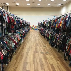 Divine Consign GRAPEVINE Fall 26' First Time Parent Presale
