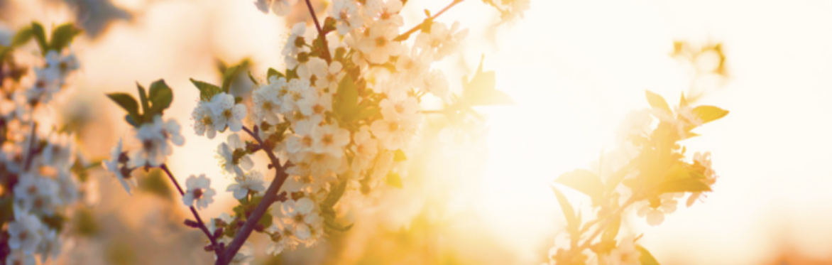 Spring Retreat ~ How to Build Spiritual Experience