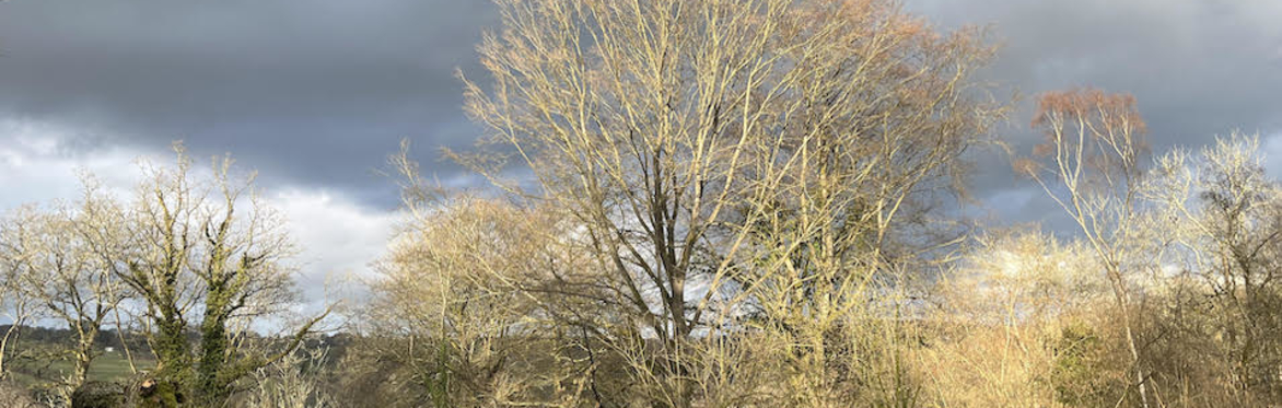 Woodland Management & Stewardship - March 2027