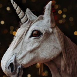 November Fairy/Unicorn Class 🦄🌙✨ Moonbeam's Visit , Star Biscuits & Whimsical Windchimes!