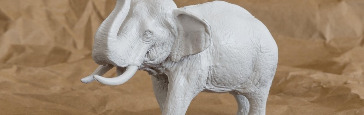 BISS Webinar October 27th 2026 - Where elephants hide and become Masters of Wisdom by Braam Beetje ISST TM
