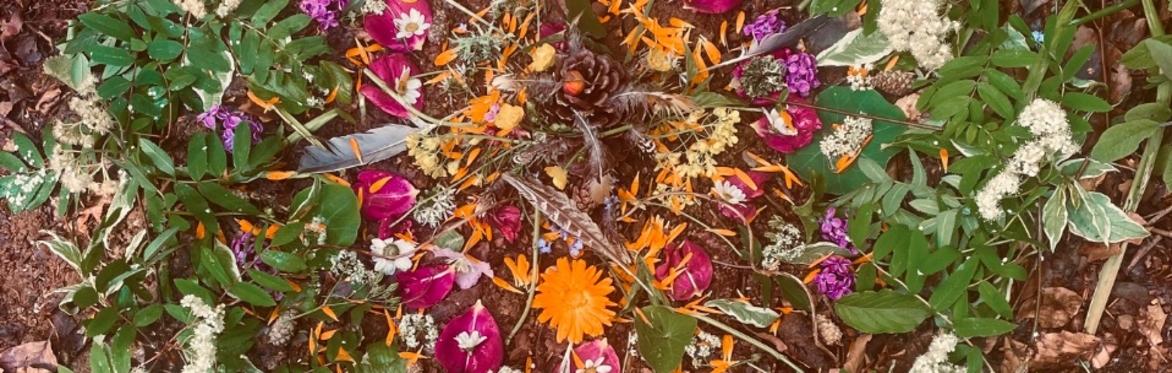 Women’s Pilgrimage Journey ONLINE
