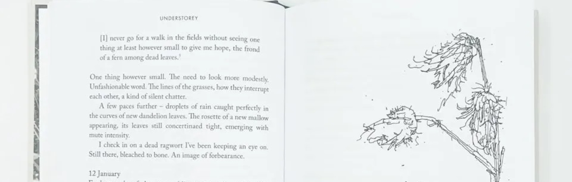 Anna Chapman Parker in conversation about her book 'Understorey: A Year Among Weeds'