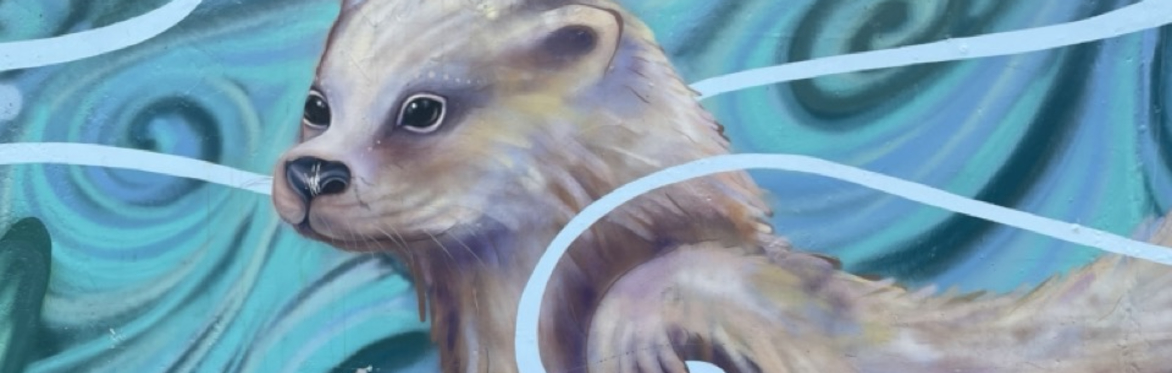 York Book of River Beasts with York's Hidden History at York Explore