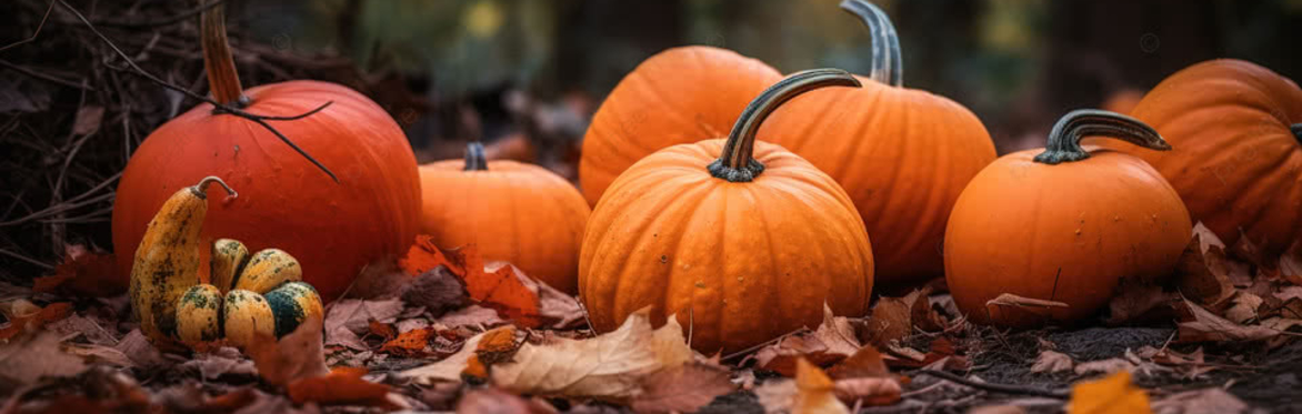 🎃 Little Movers Club - Pumpkin special