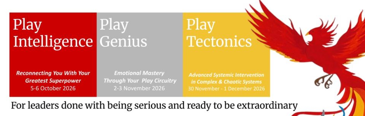 Playful Leadership programme made up of 3 courses