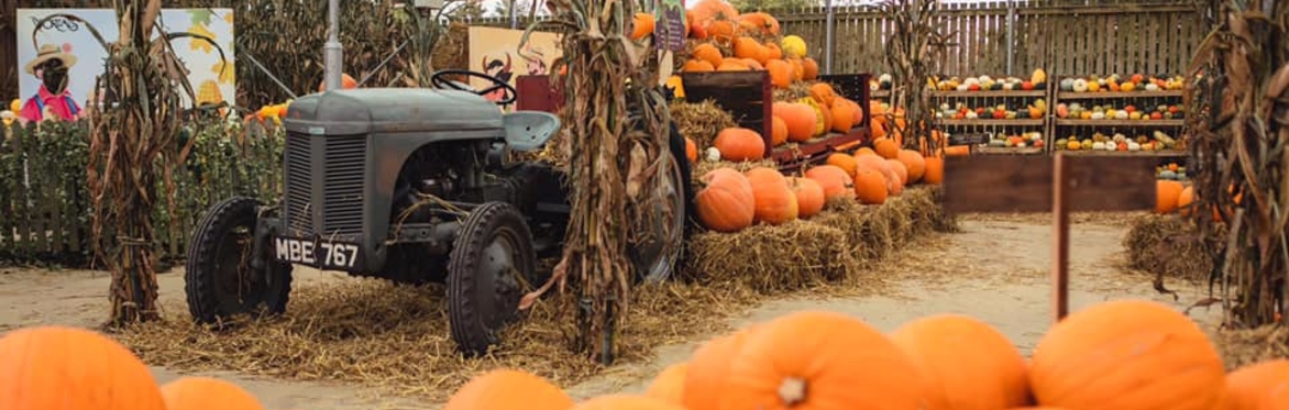 Rusty's Great Pumpkin Patch 2023