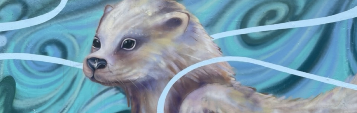 York Book of River Beasts with York's Hidden History at Clifton Explore