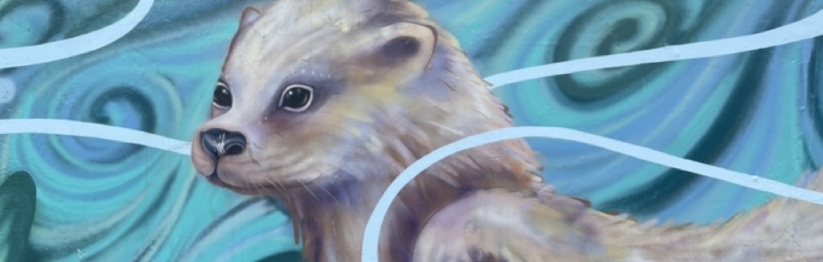 York Book of River Beasts with York's Hidden History at Tang Hall Explore