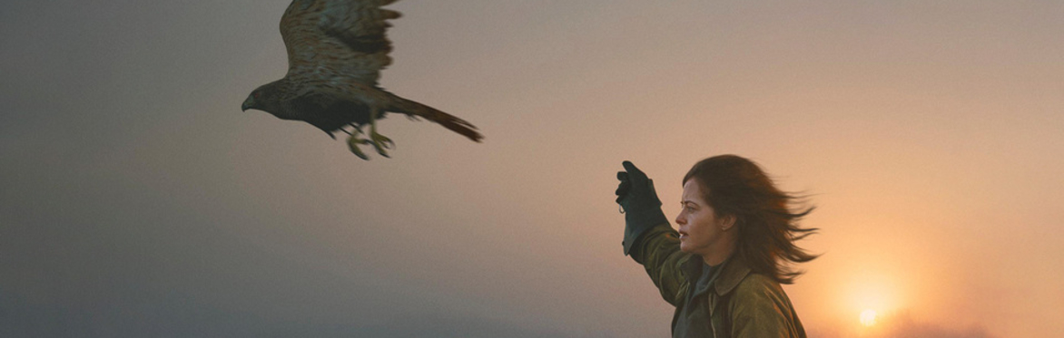 Kingsway Community Cinema 'H is for Hawk'