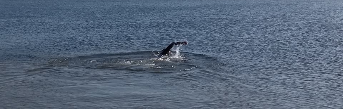 Adult, Swimming lessons