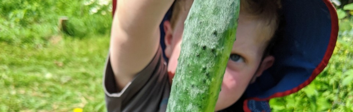 Bagley Farm to Kids 2026:  Building Local Foods Relationships