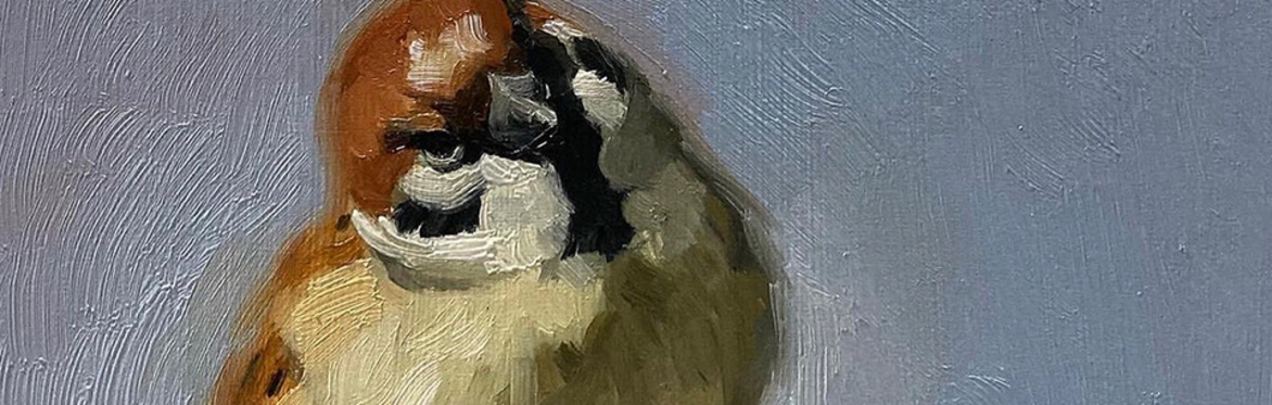 Feather & Wing: A Workshop in Oils