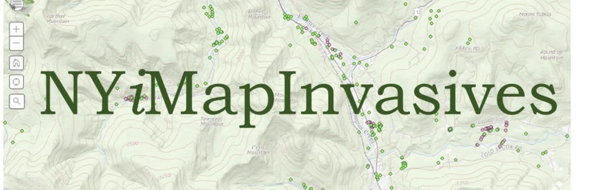 Invasive Species 101 (Postponed, rescheduled to 3/26)