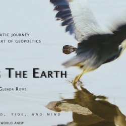 Expressing the Earth -film screening with Q&A