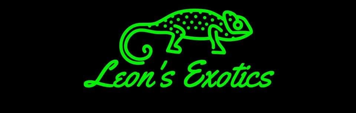 Exotics Animal Encounters with Leon Exotics